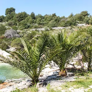 Apartment Tatinja, Trogir